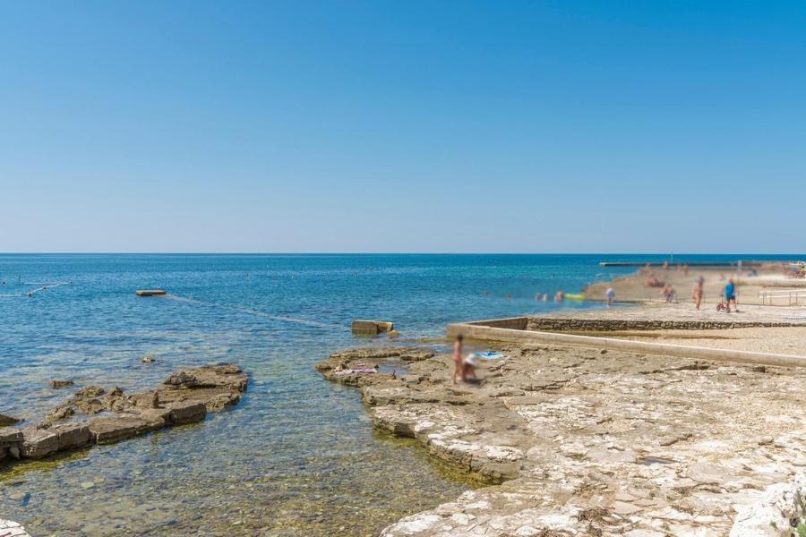 Delfina * Umag
